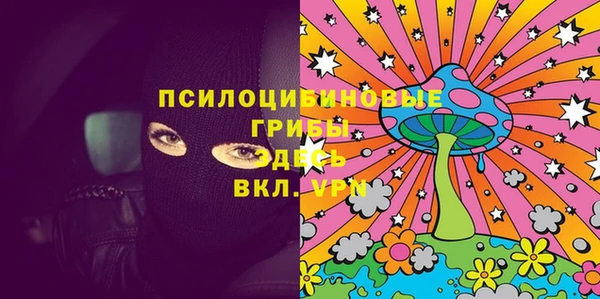 гашик Алексеевка