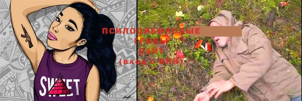 герыч Алексин