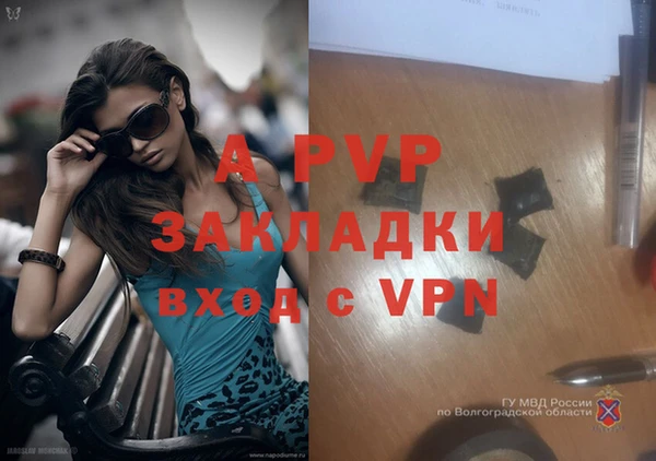 герыч Алексин