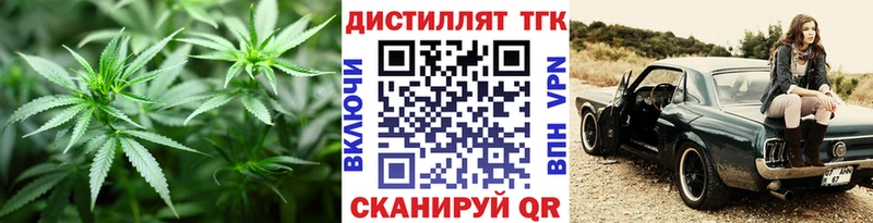 ТГК концентрат Липки